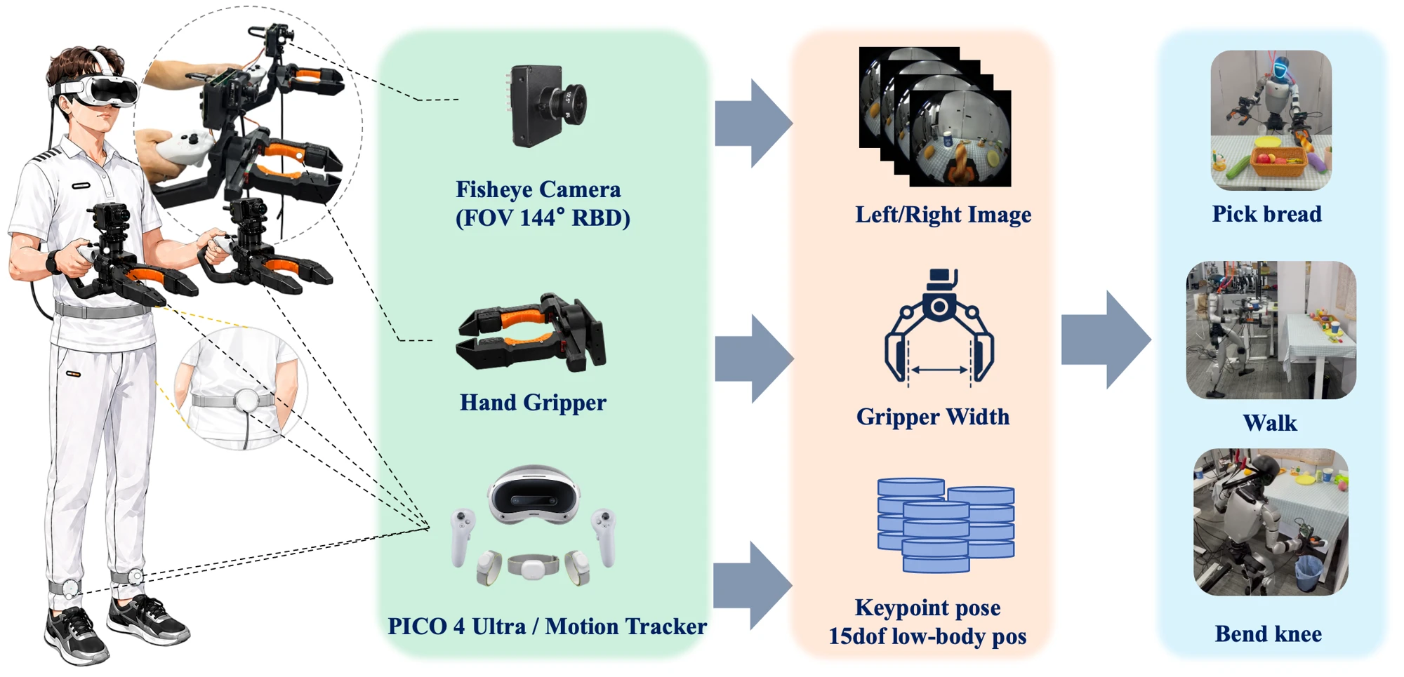 HumanoidUMI: Bridging Robot-Free Demonstrations and Humanoid Whole-Body Manipulation
