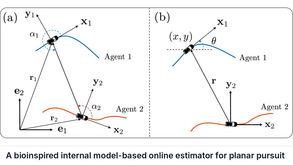 A bioinspired internal model-based online estimator for planar pursuit