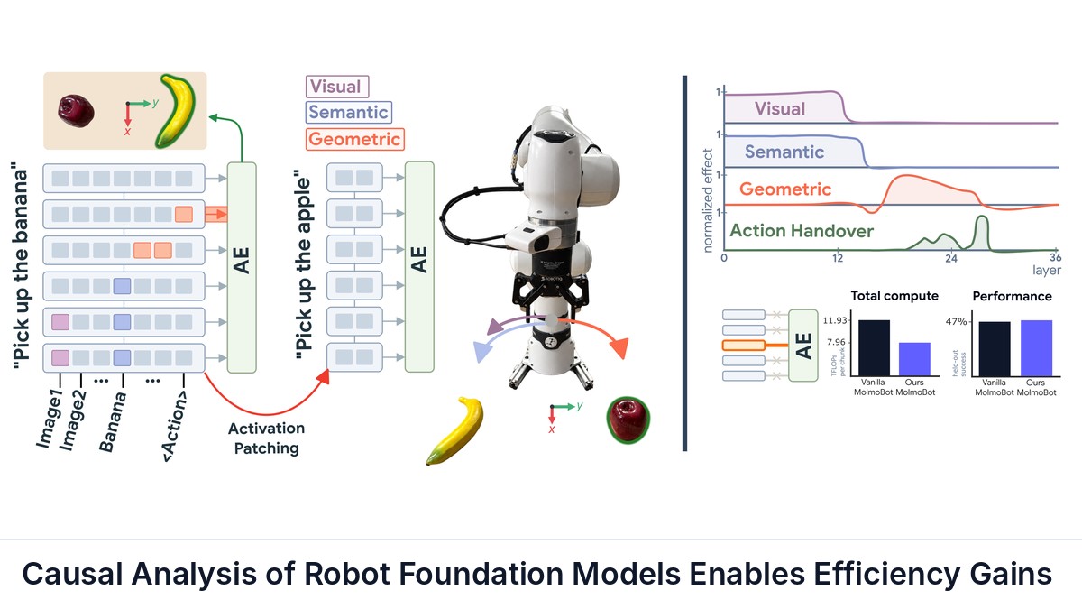 Causal Analysis of Robot Foundation Models Enables Efficiency Gains