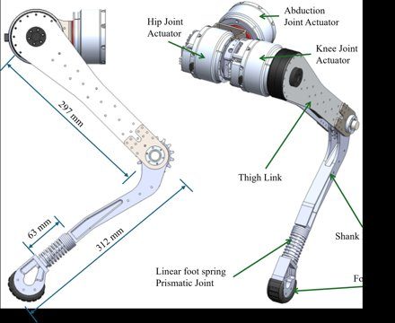 Energy-Efficient Quadruped Locomotion with Compliant Feet