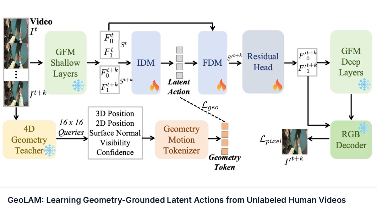 GeoLAM: Learning Geometry-Grounded Latent Actions from Unlabeled Human Videos