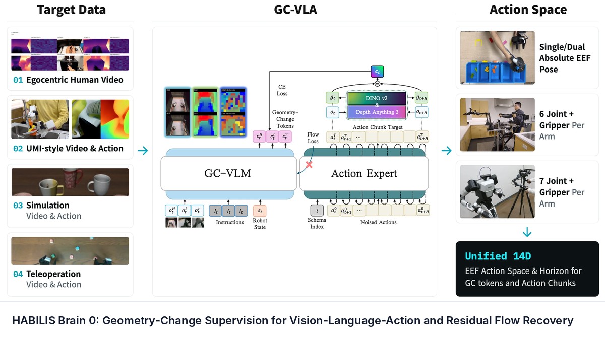 HABILIS Brain 0: Geometry-Change Supervision for Vision-Language-Action and Residual Flow Recovery