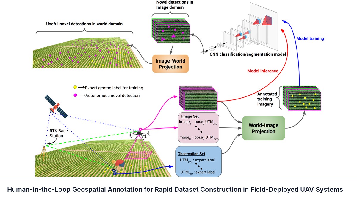 Human-in-the-Loop Geospatial Annotation for Rapid Dataset Construction in Field-Deployed UAV Systems