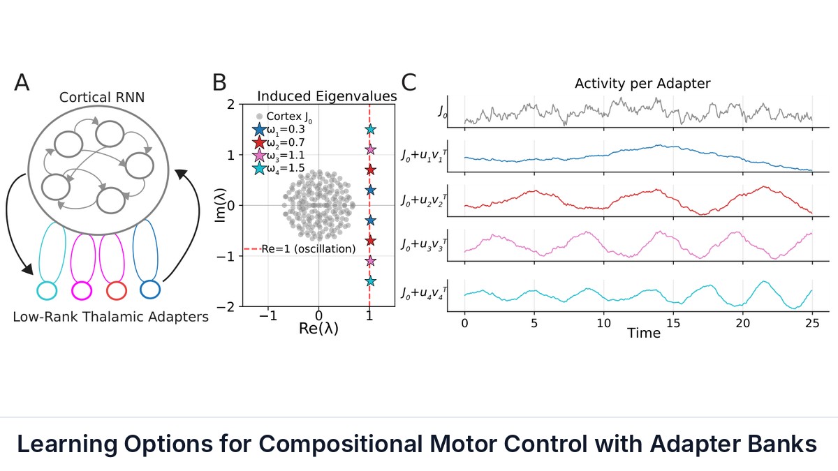 Learning Options for Compositional Motor Control with Adapter Banks