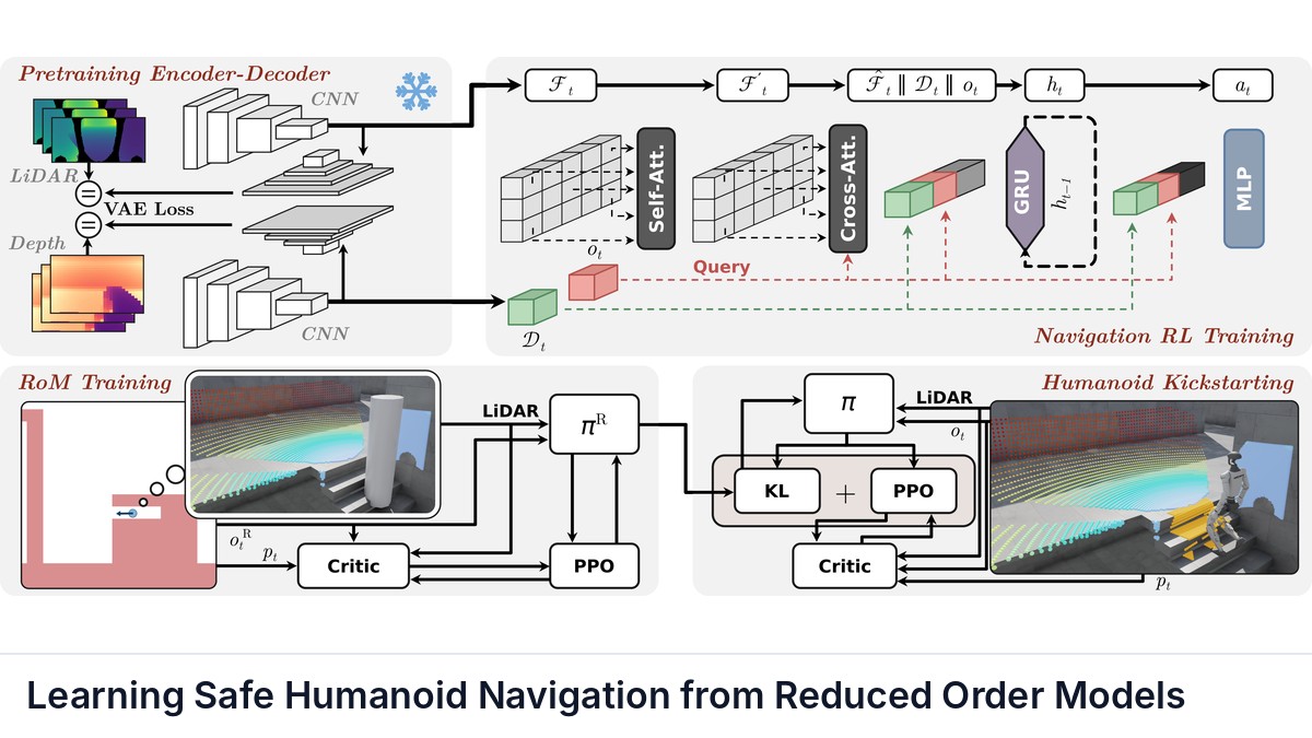 Learning Safe Humanoid Navigation from Reduced Order Models