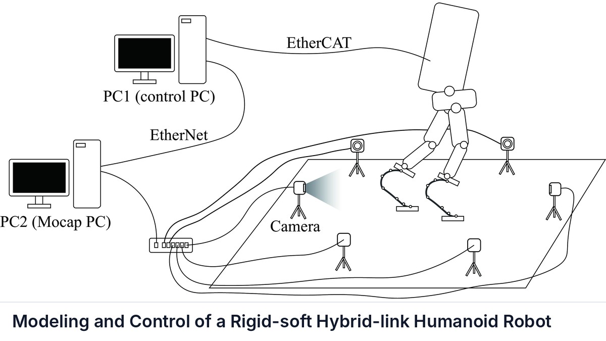 Modeling and Control of a Rigid-soft Hybrid-link Humanoid Robot