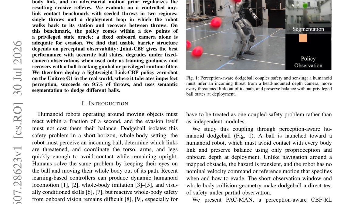 PAC-MAN: Perception-Aware CBF-RL for Whole-Body Safety in Humanoid Dodgeball