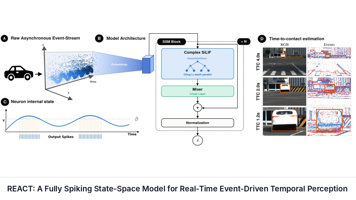 REACT: A Fully Spiking State-Space Model for Real-Time Event-Driven Temporal Perception