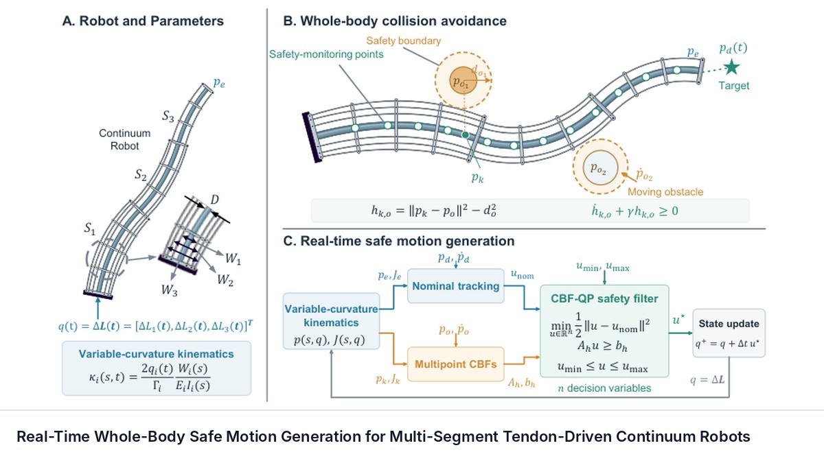 Real-Time Whole-Body Safe Motion Generation for Multi-Segment Tendon-Driven Continuum Robots