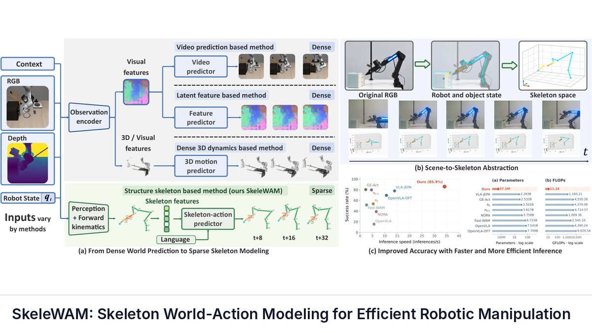SkeleWAM: Skeleton World-Action Modeling for Efficient Robotic Manipulation