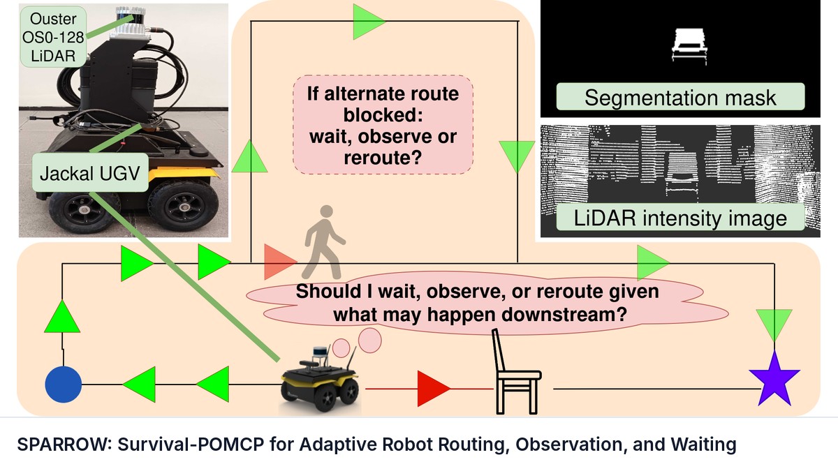SPARROW: Survival-POMCP for Adaptive Robot Routing, Observation, and Waiting