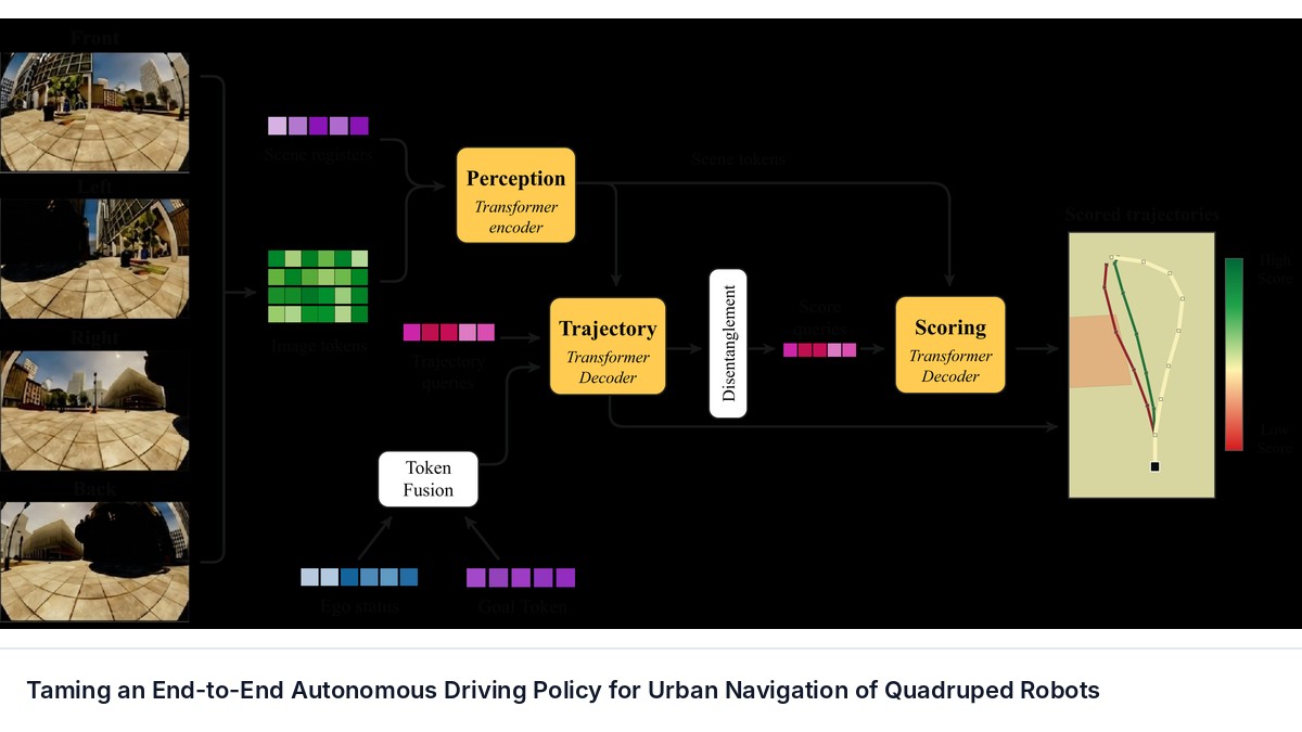 Taming an End-to-End Autonomous Driving Policy for Urban Navigation of Quadruped Robots