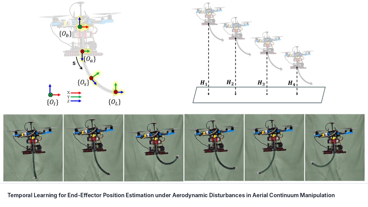 Temporal Learning for End-Effector Position Estimation under Aerodynamic Disturbances in Aerial Continuum Manipulation
