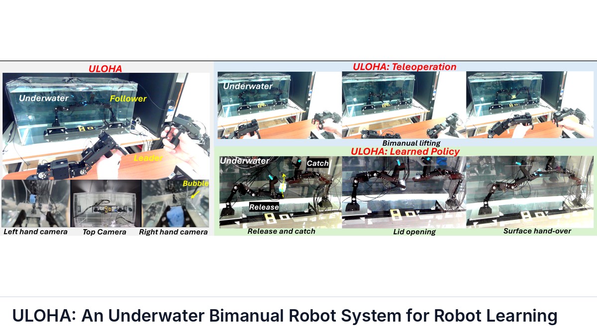 ULOHA: An Underwater Bimanual Robot System for Robot Learning