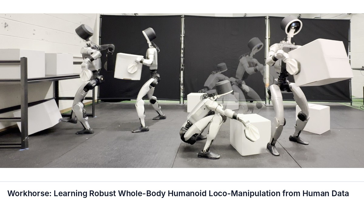 Workhorse: Learning Robust Whole-Body Humanoid Loco-Manipulation from Human Data